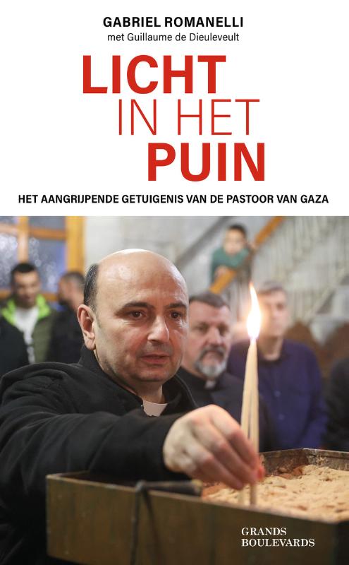 Omslag van Licht in het puin