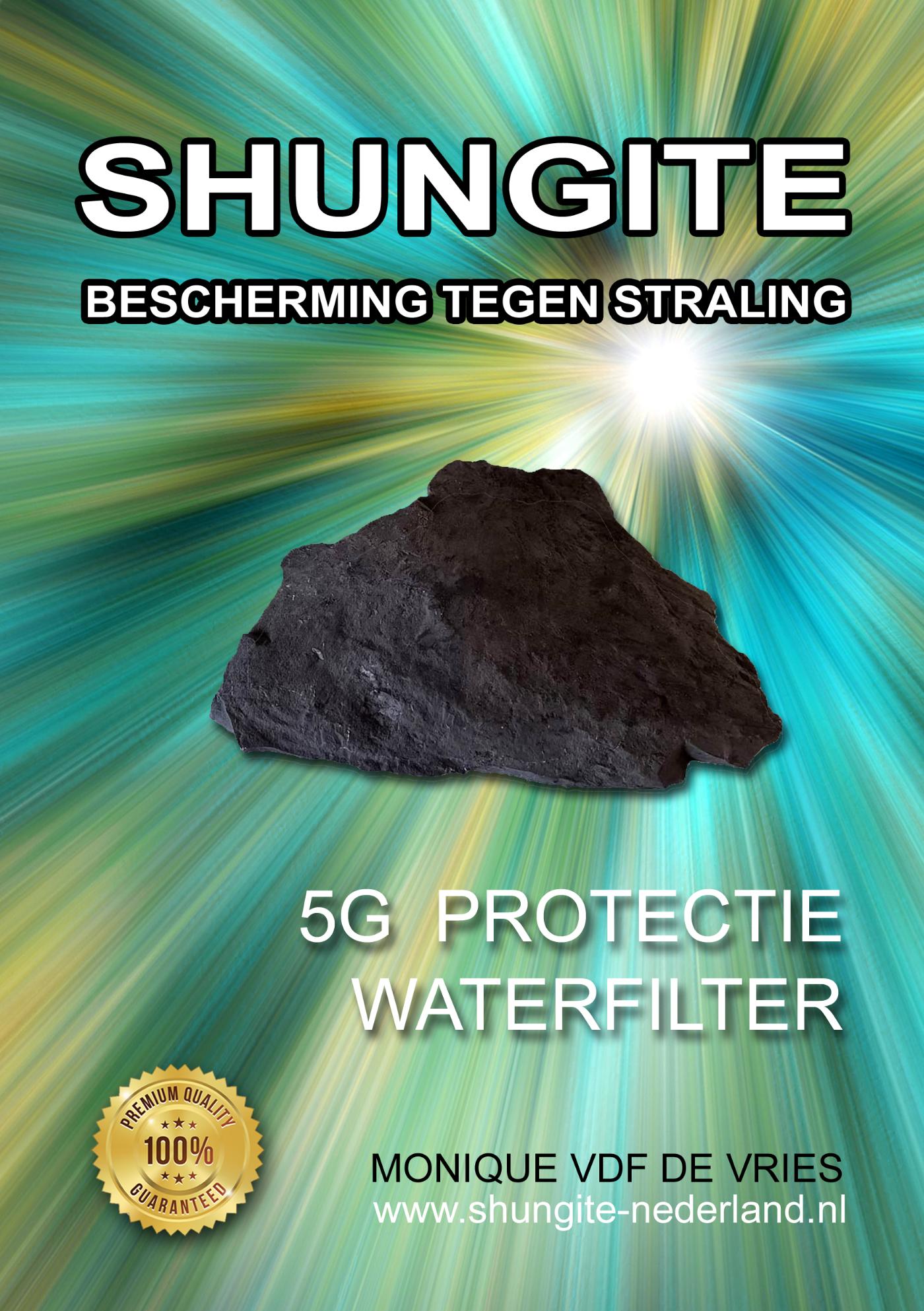 Omslag van SHUNGITE Bescherming tegen straling