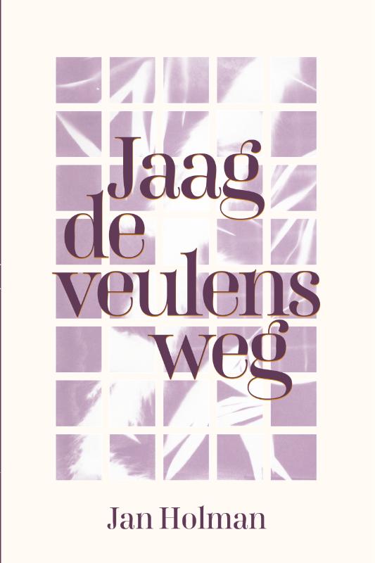 Omslag van Jaag de veulens weg