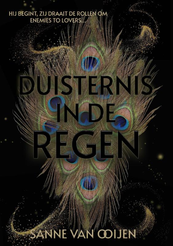 Omslag van Duisternis in de regen