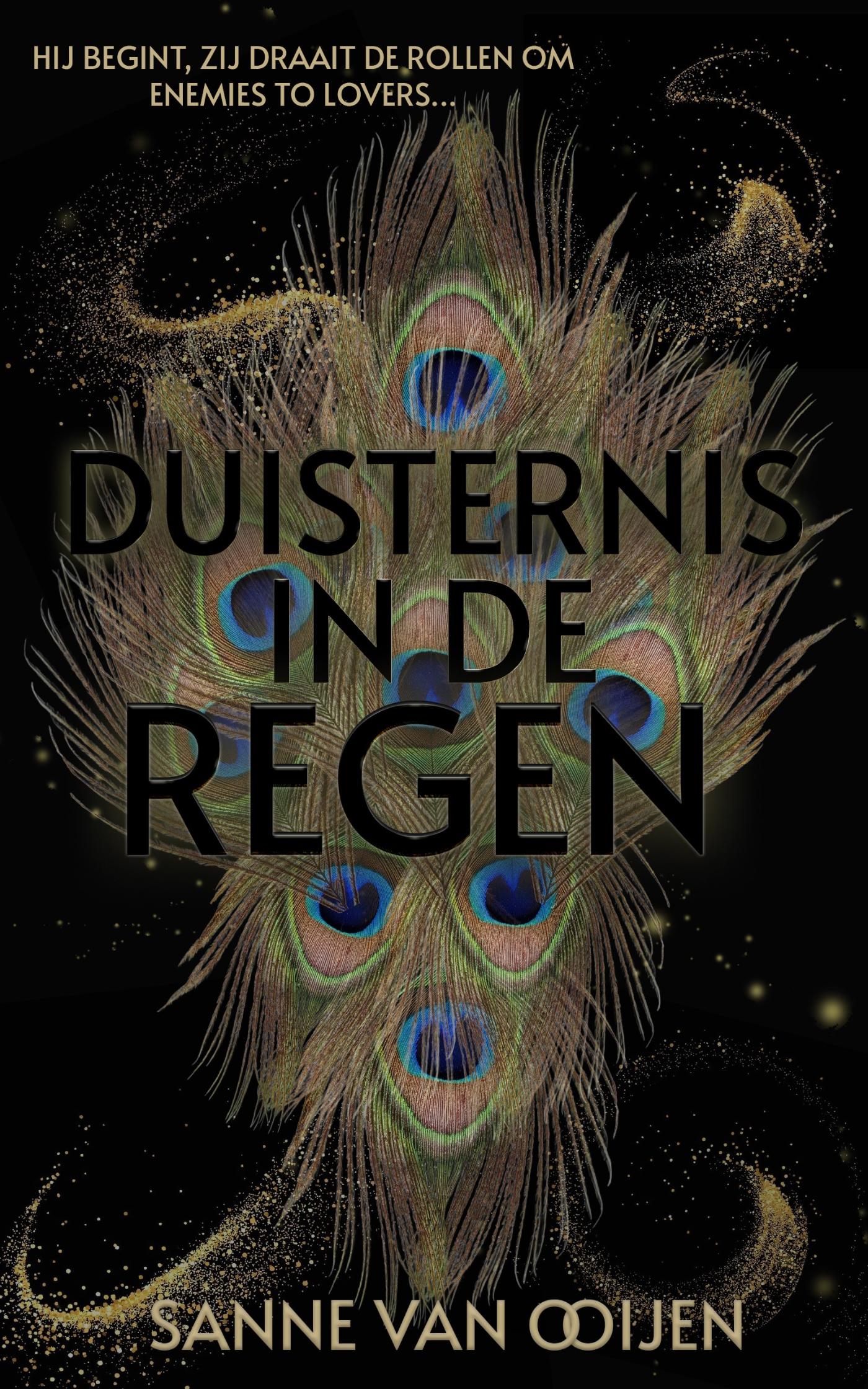 Omslag van Duisternis in de regen