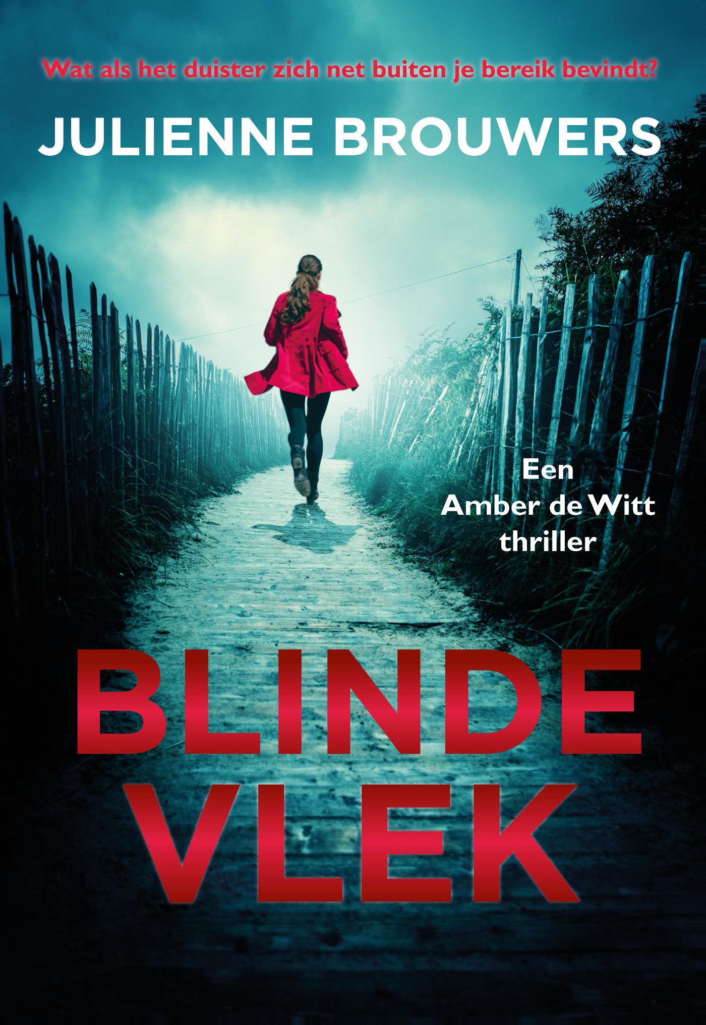 Omslag van Blinde vlek