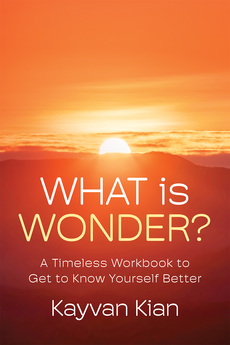 Omslag van What Is Wonder?