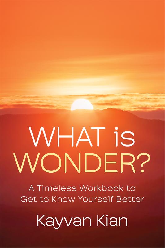 Omslag van What Is Wonder?