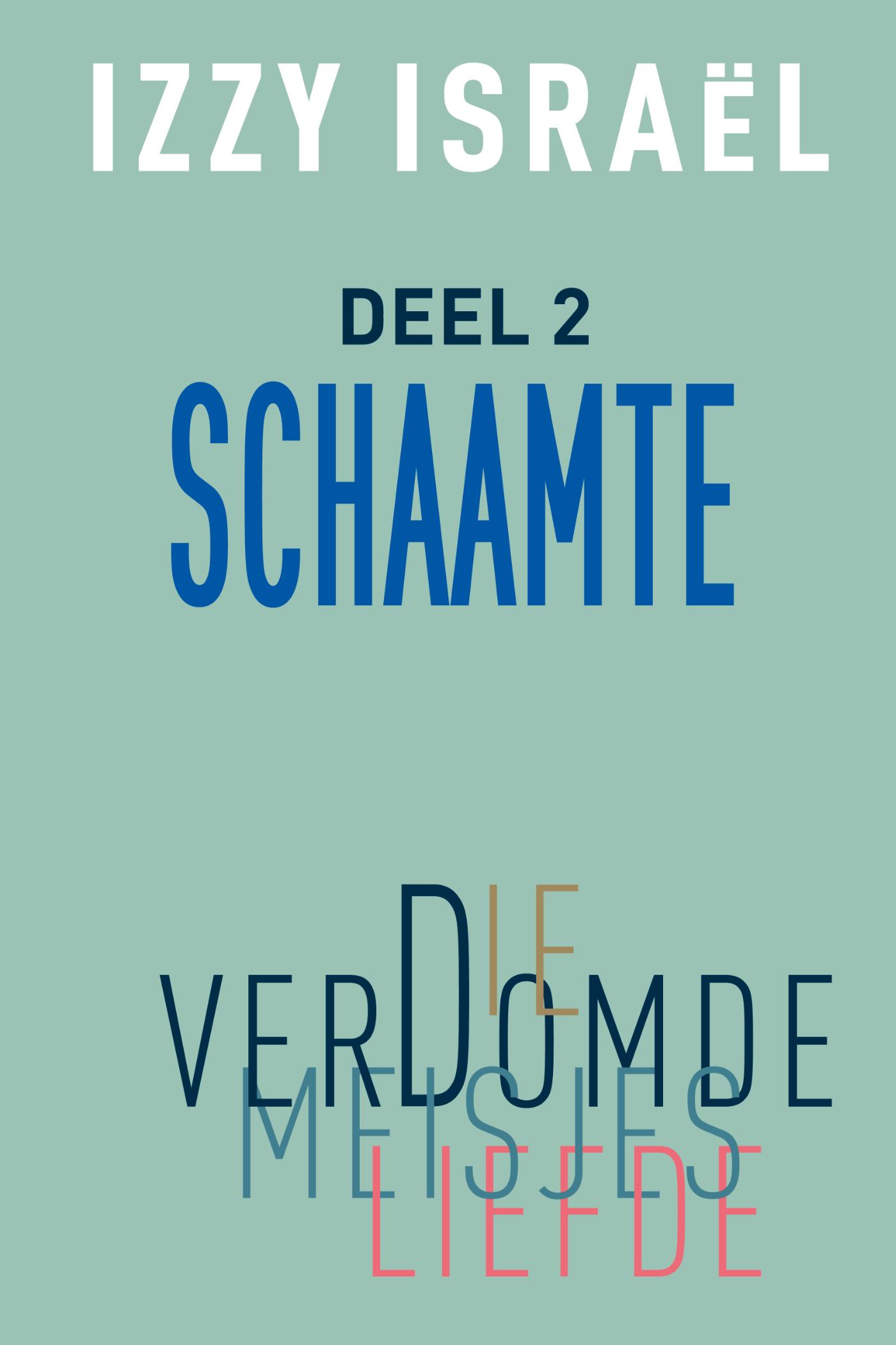 Omslag van 2 Schaamte