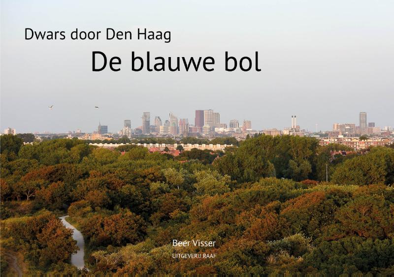 Omslag van De blauwe bol