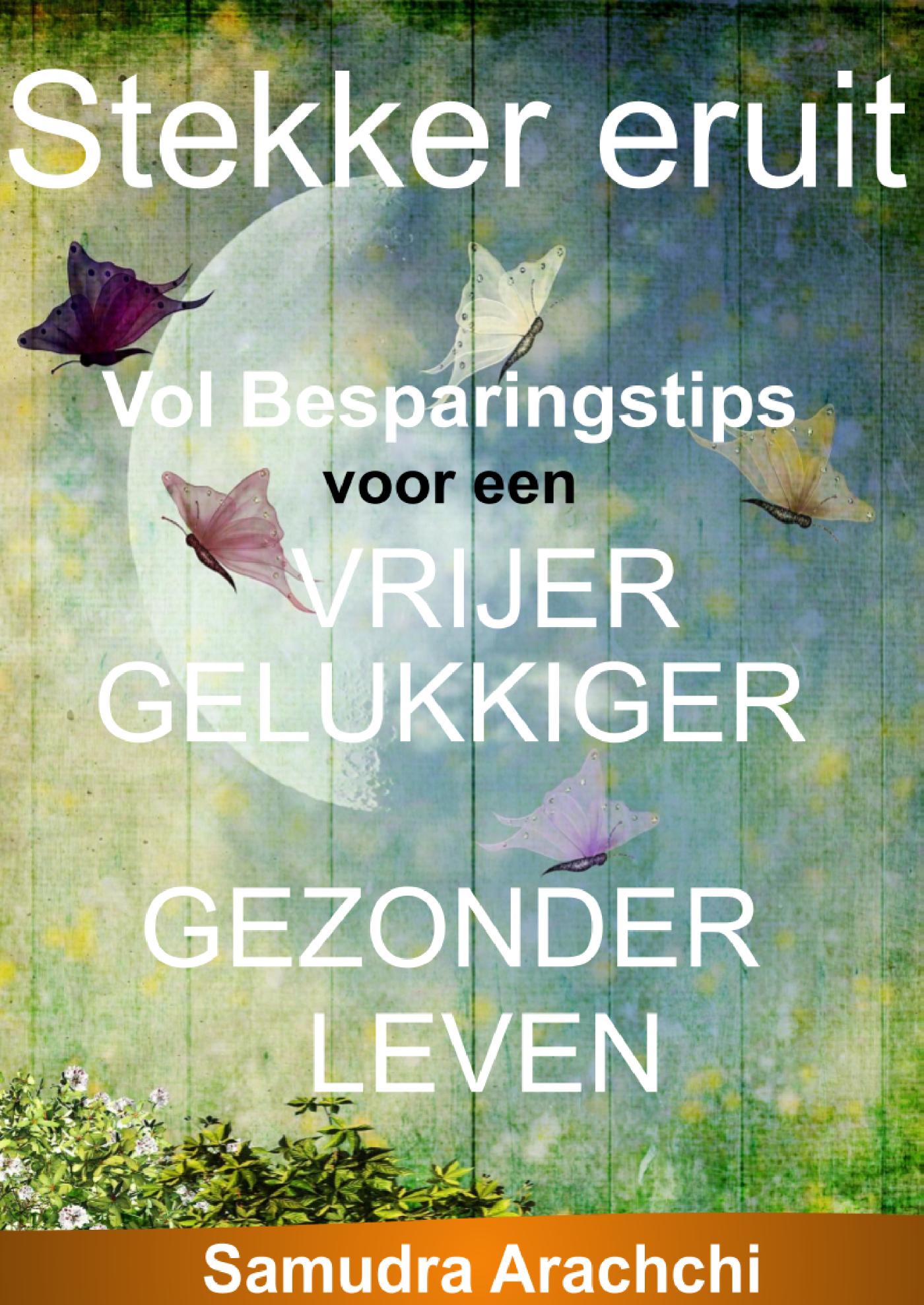 Omslag van Stekker eruit, voor een Vrijer, Gelukkiger en Gezonder leven