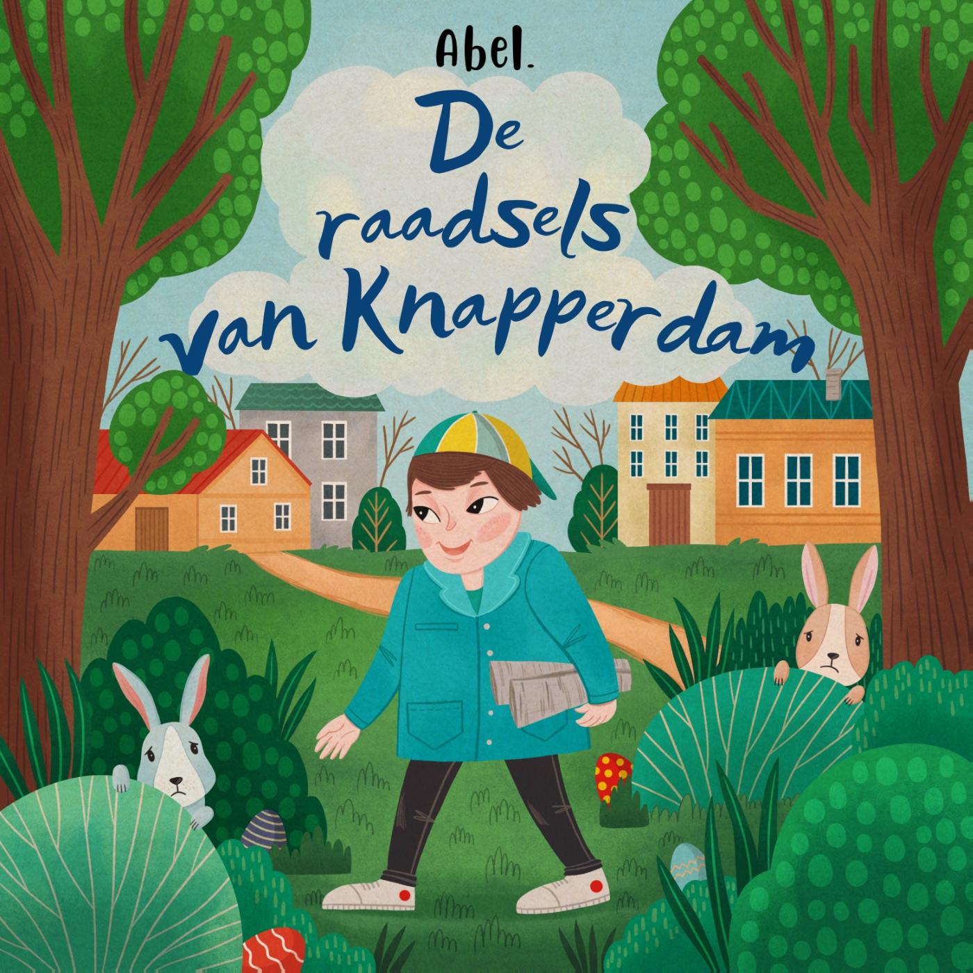 Omslag van De raadsels van Knapperdam