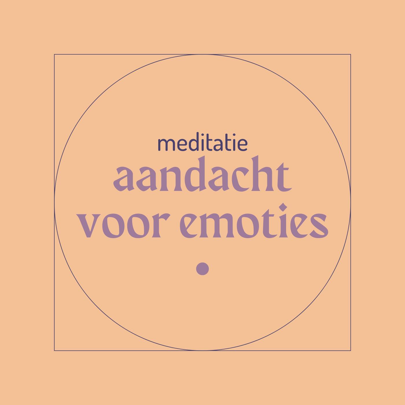 Omslag van Aandacht voor emoties