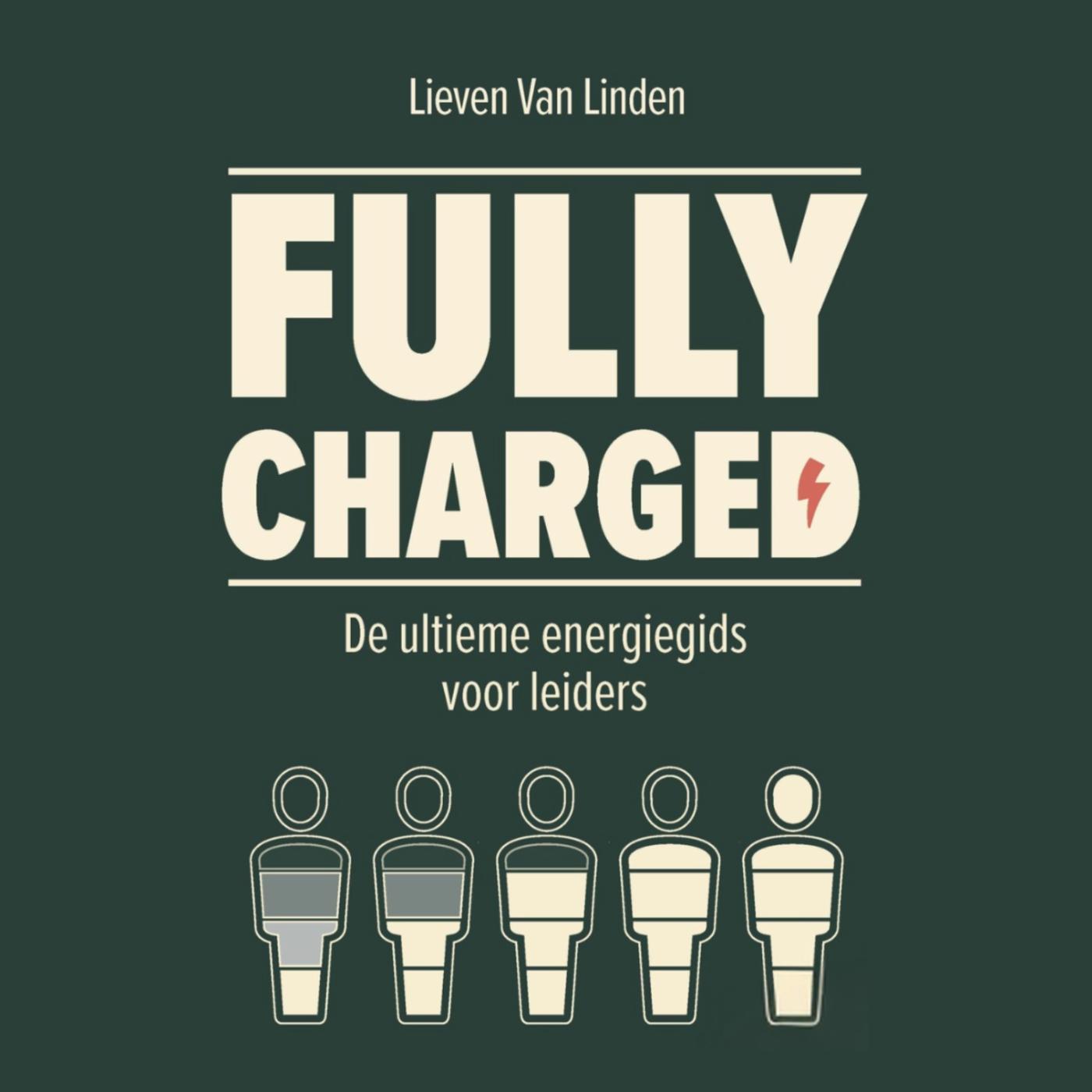 Omslag van Fully Charged
