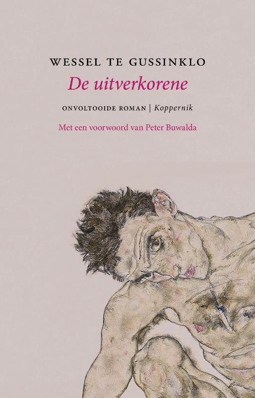 Omslag van De uitverkorene