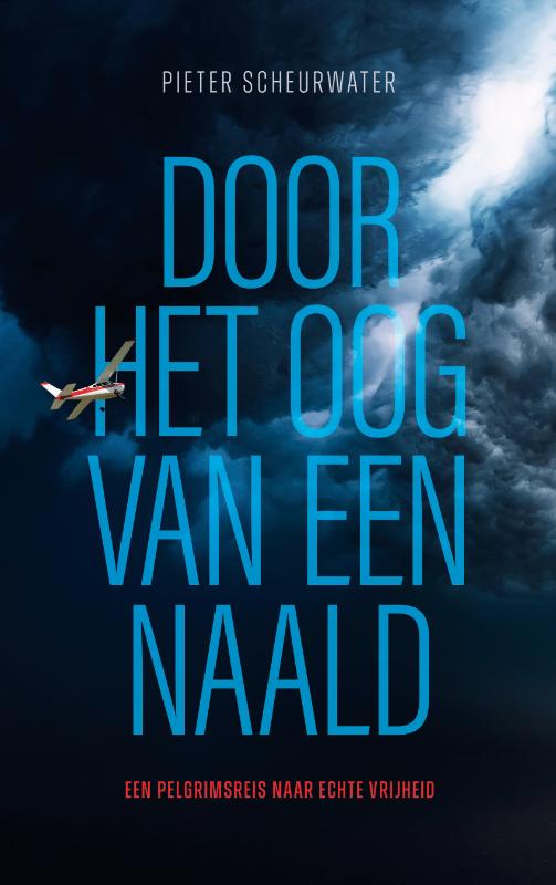 Omslag van Door het oog van een naald