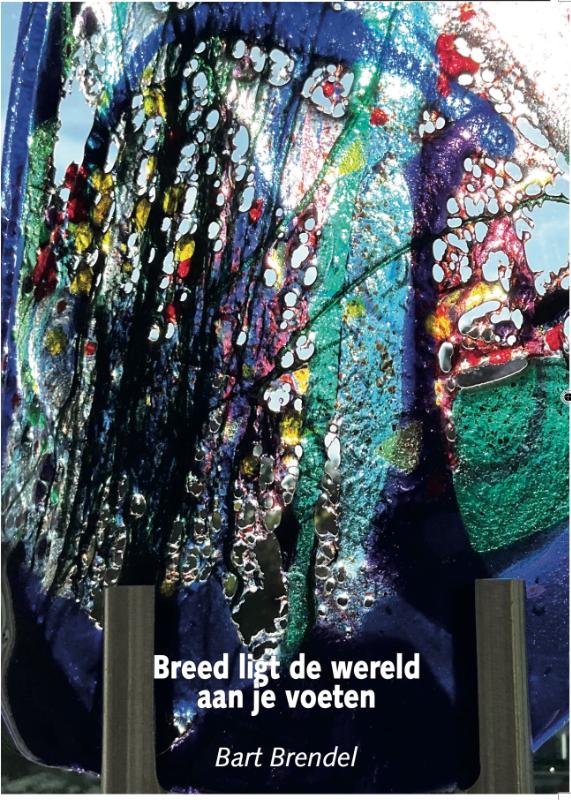 Omslag van Breed ligt de wereld aan je voeten