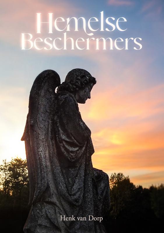 Omslag van Hemelse beschermers