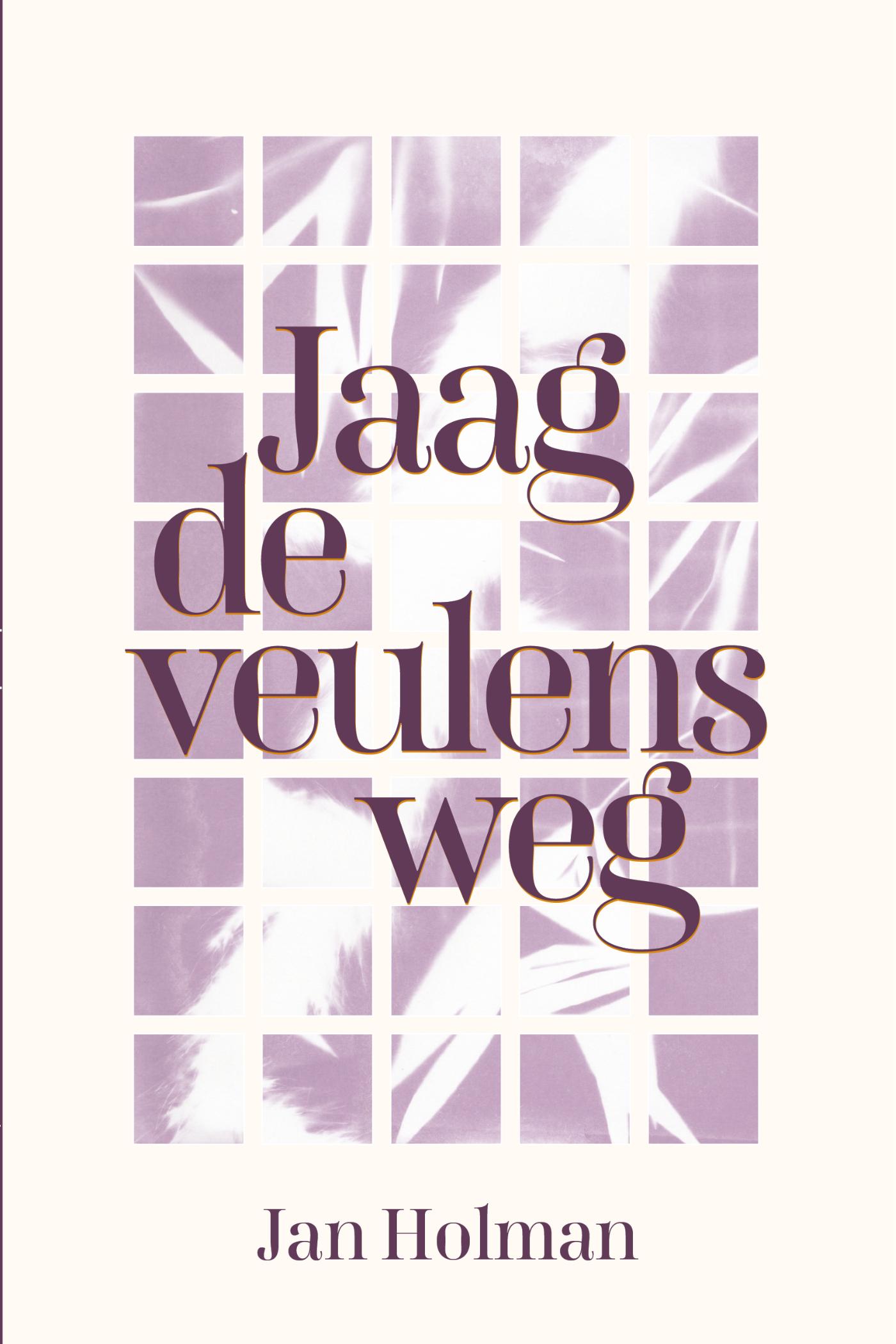 Omslag van Jaag de veulens weg