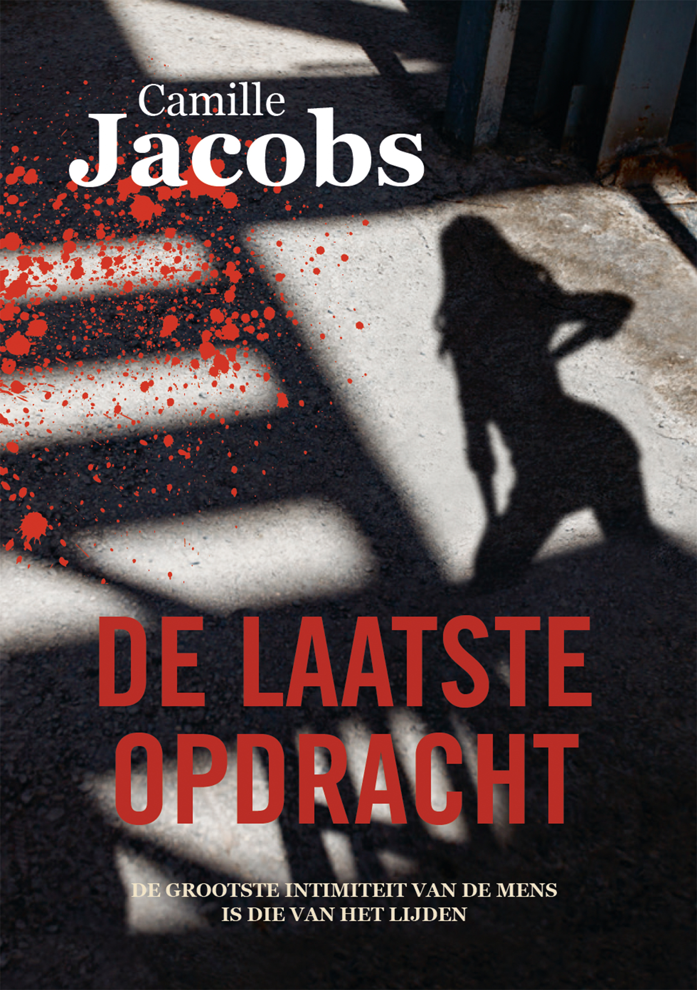 Omslag van De laatste opdracht