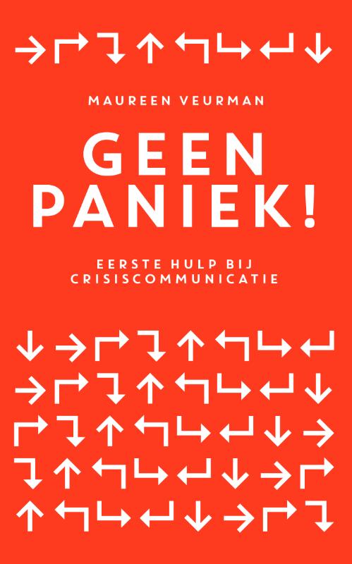 Omslag van Geen paniek! AI