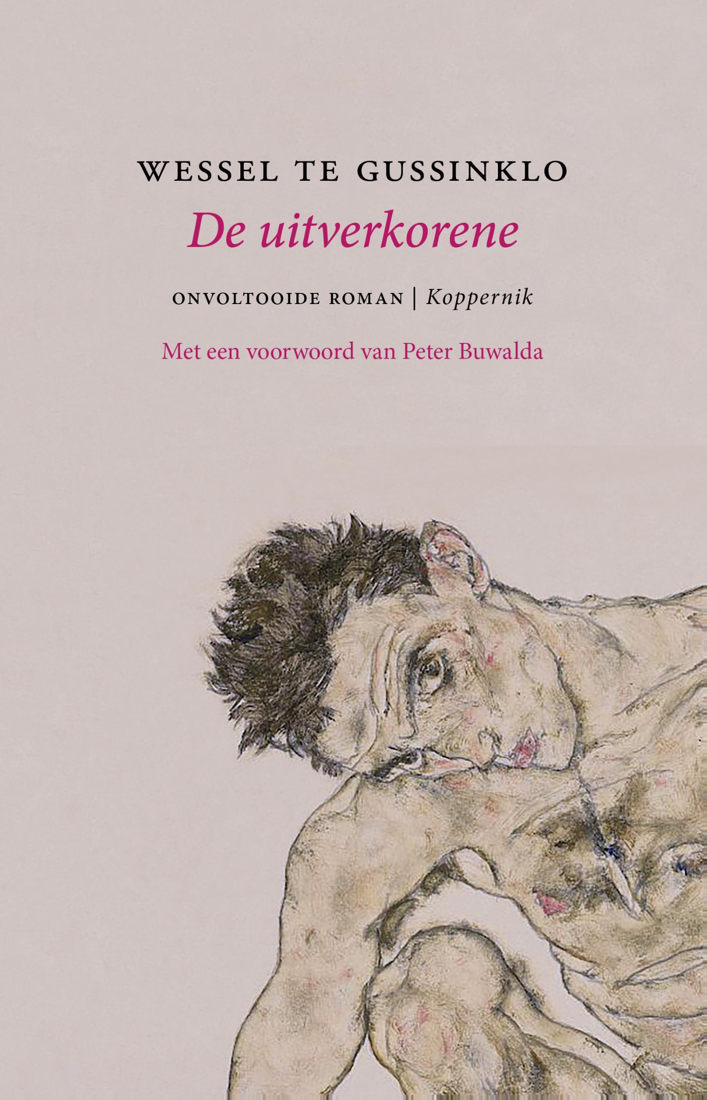 Omslag van De uitverkorene