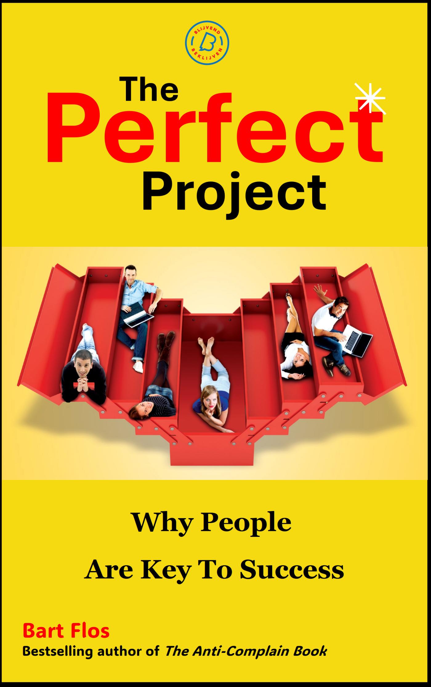 Omslag van The Perfect Project