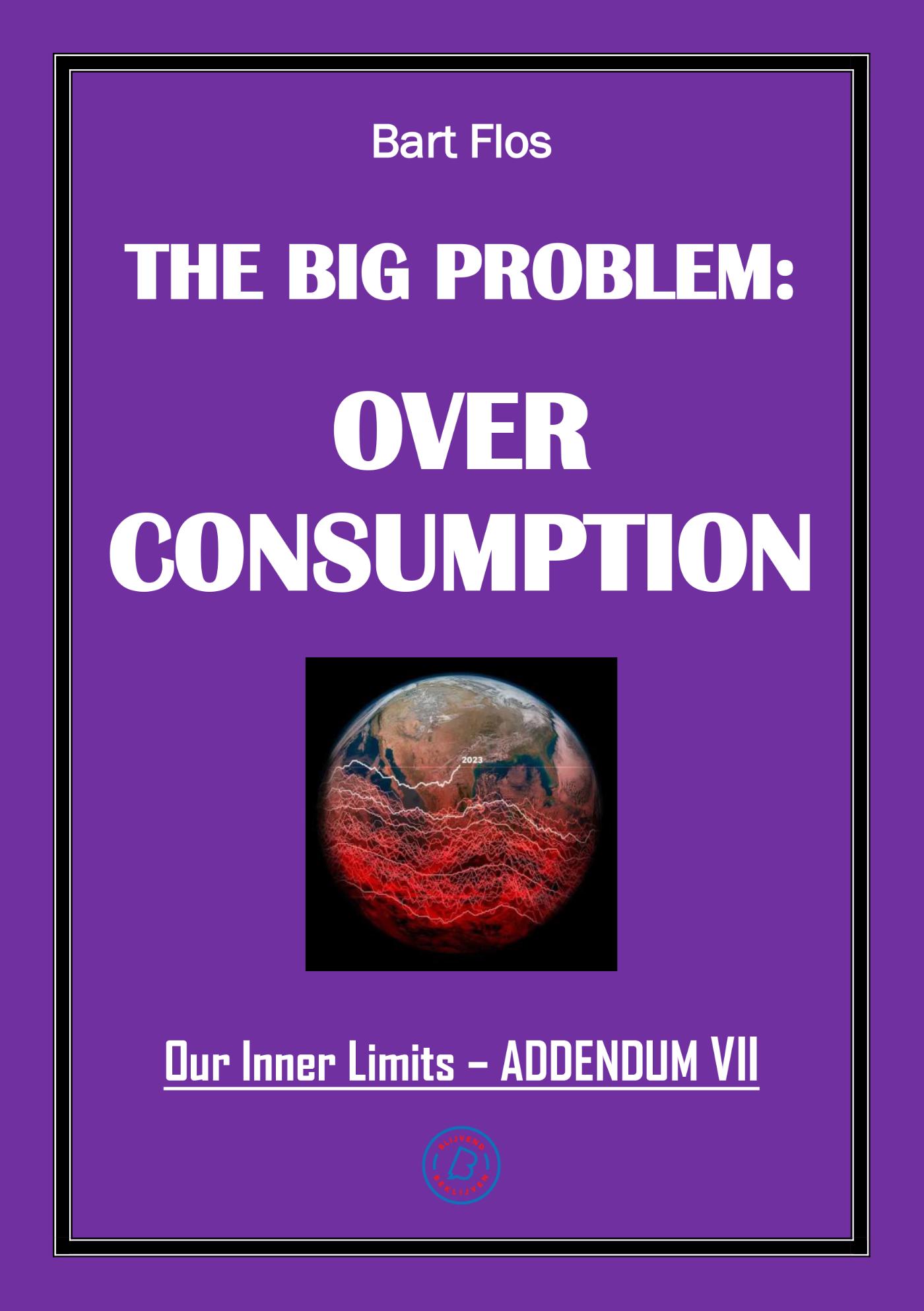 Omslag van The Big Problem: Overconsumption