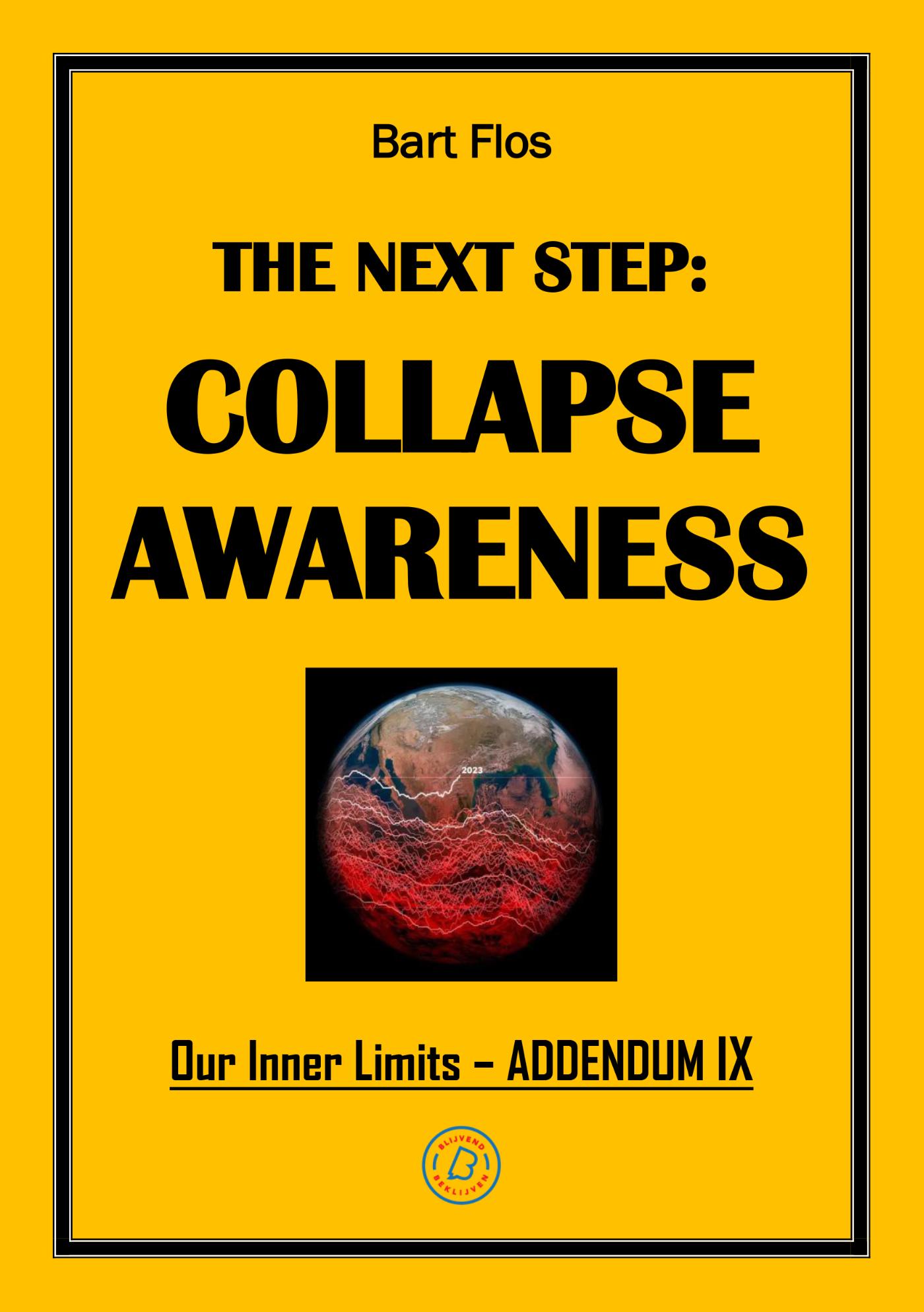 Omslag van The Next Step: Collapse Awareness