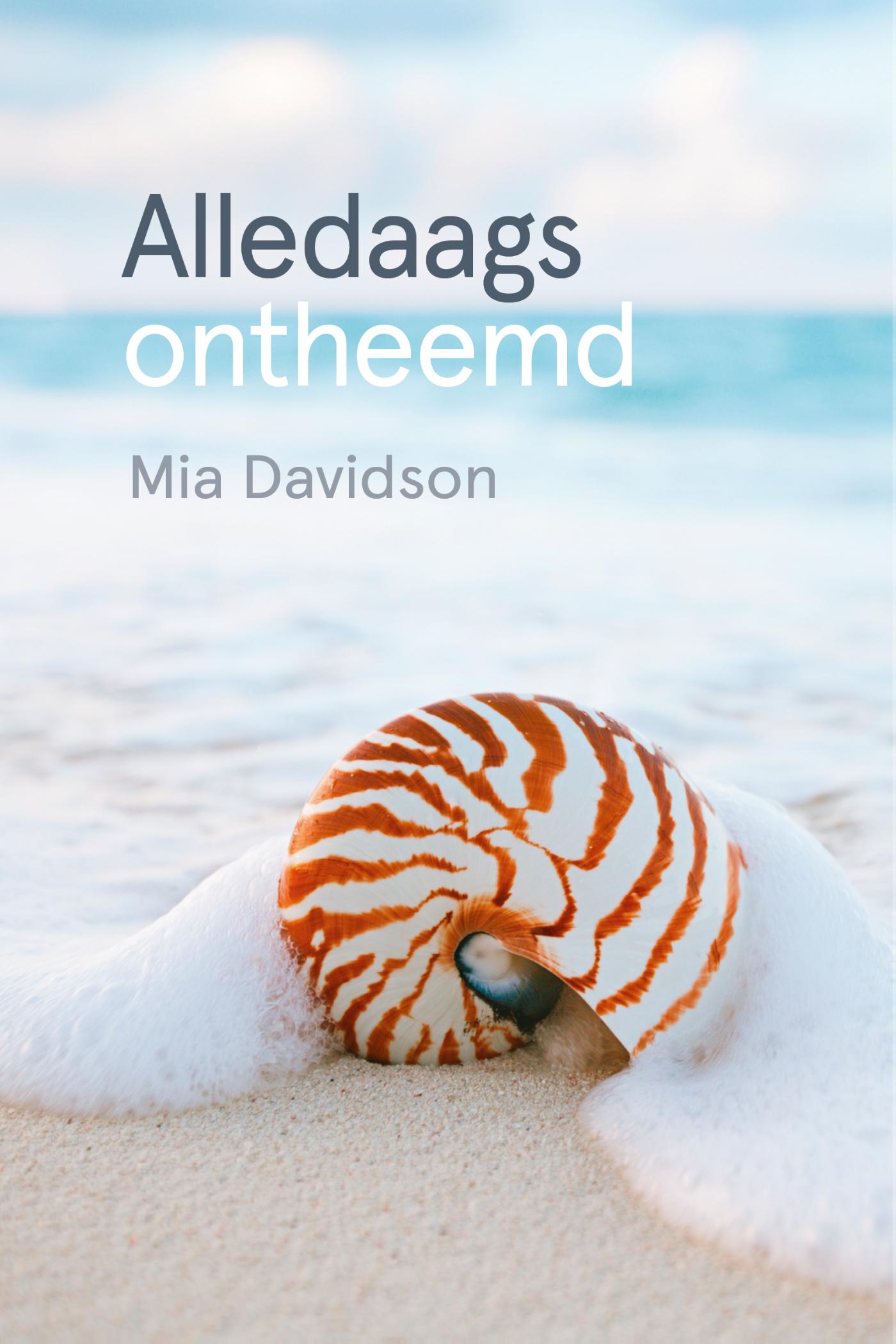Omslag van Alledaags ontheemd