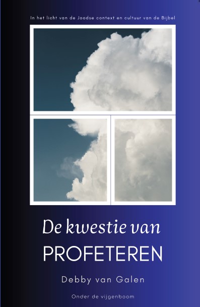 Omslag van De kwestie van profeteren