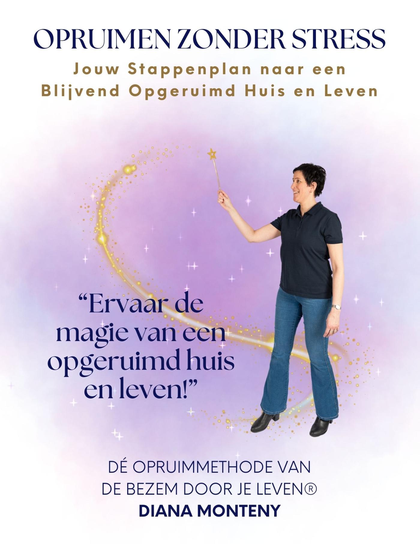 Omslag van Opruimen zonder Stress