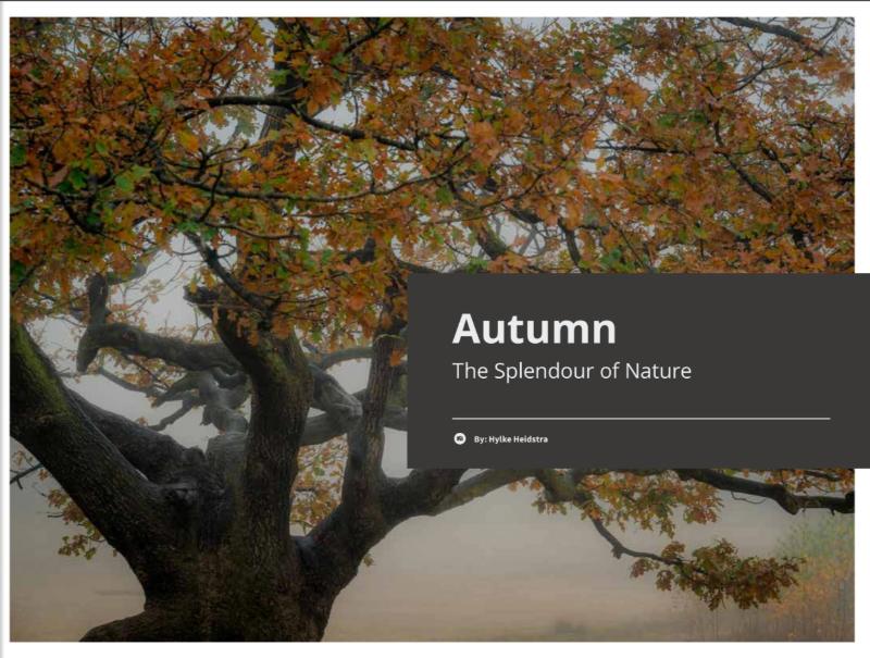 Omslag van Autumn