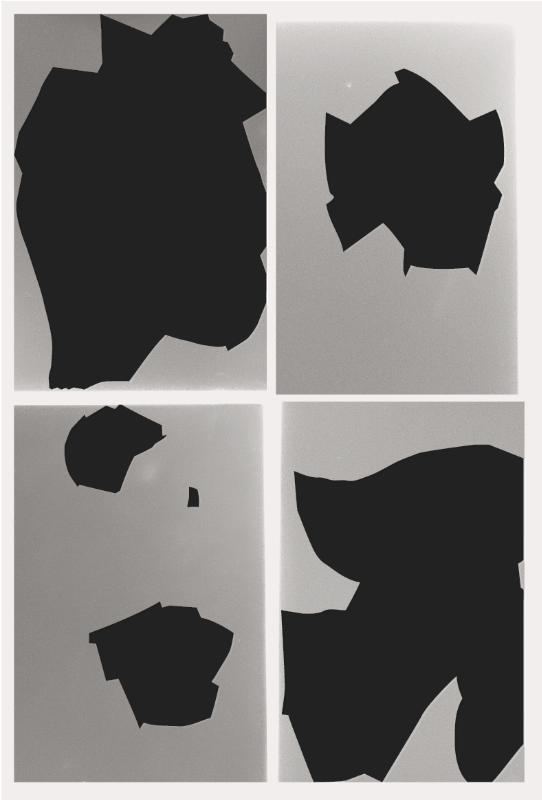 Omslag van Bird shaped vinyl