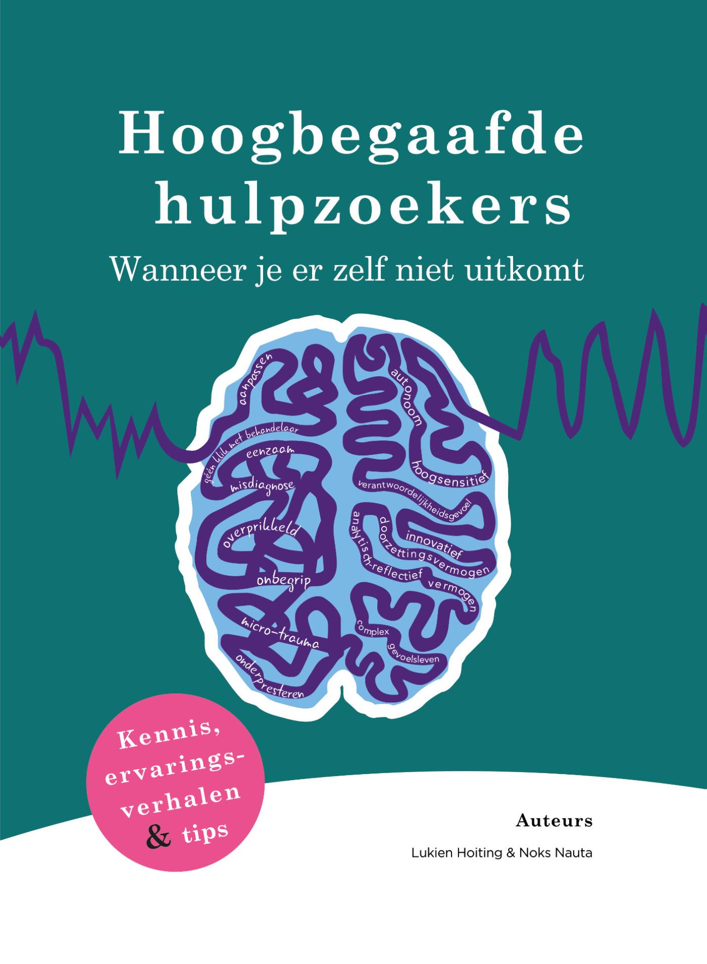 Omslag van Hoogbegaafde hulpzoekers