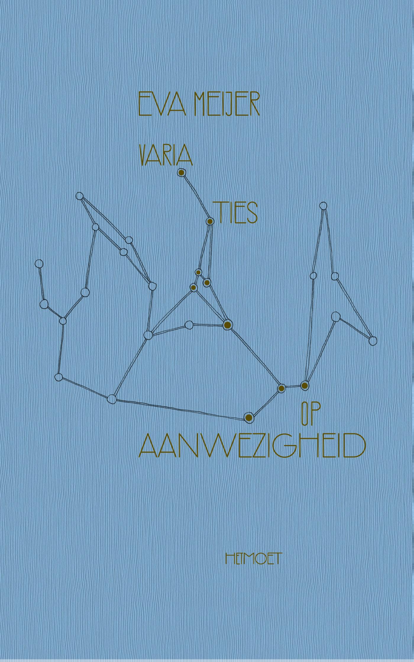 Omslag van Variaties op aanwezigheid