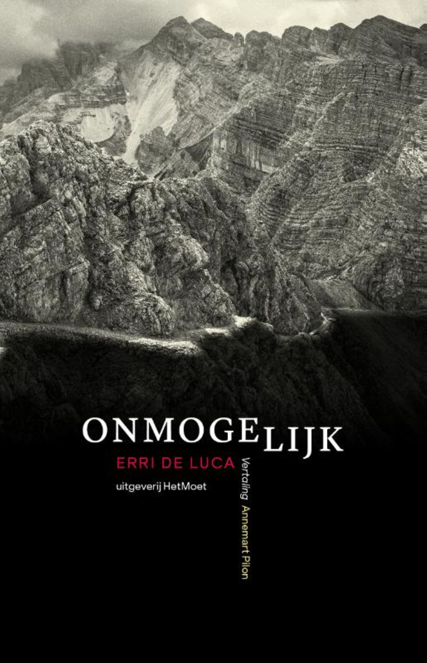 Omslag van Onmogelijk