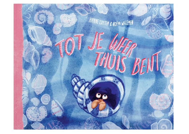 Omslag van Tot je weer thuis bent