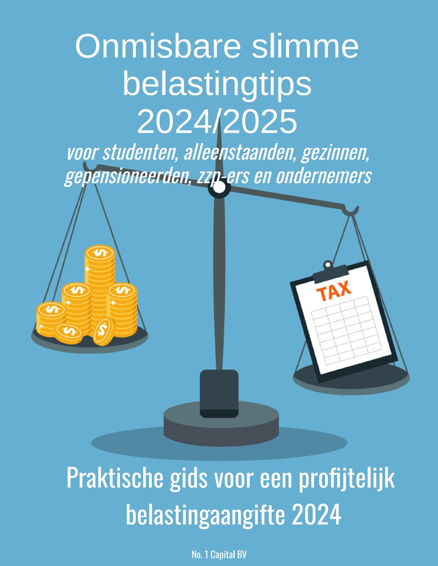 Omslag van Onmisbare Slimme Belastingtips 2024/2025