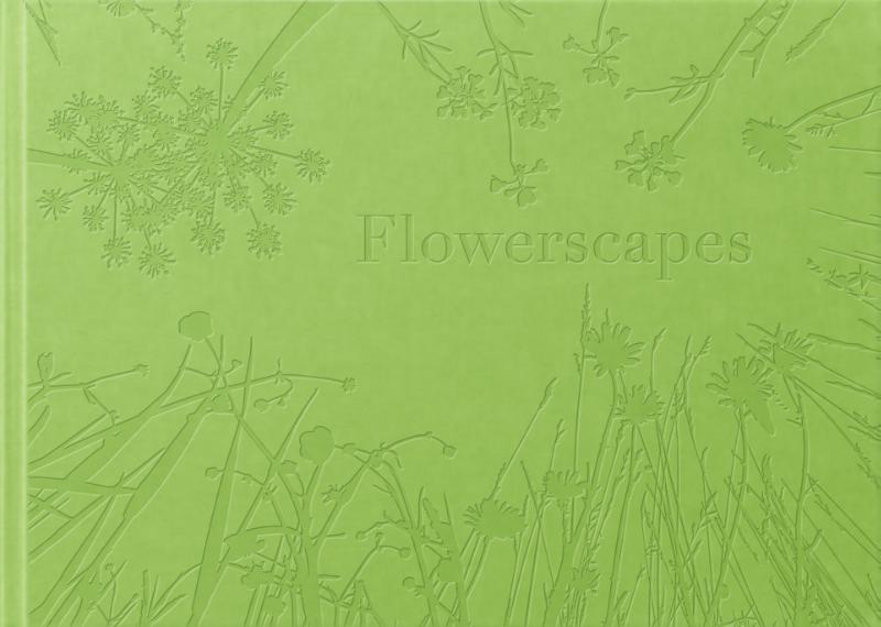Omslag van Flowerscapes