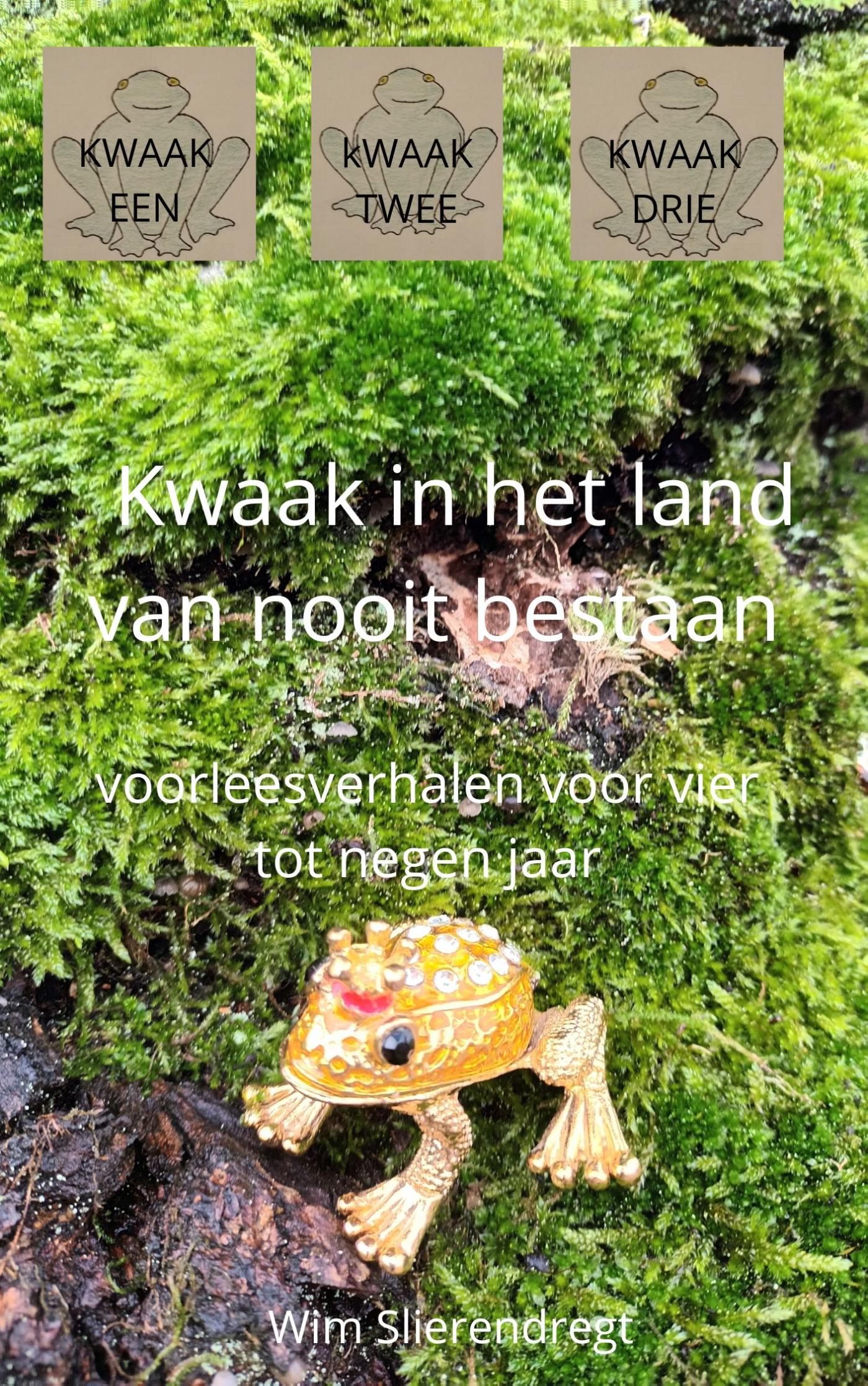 Omslag van Kwaak in het Land Van Nooit Bestaan