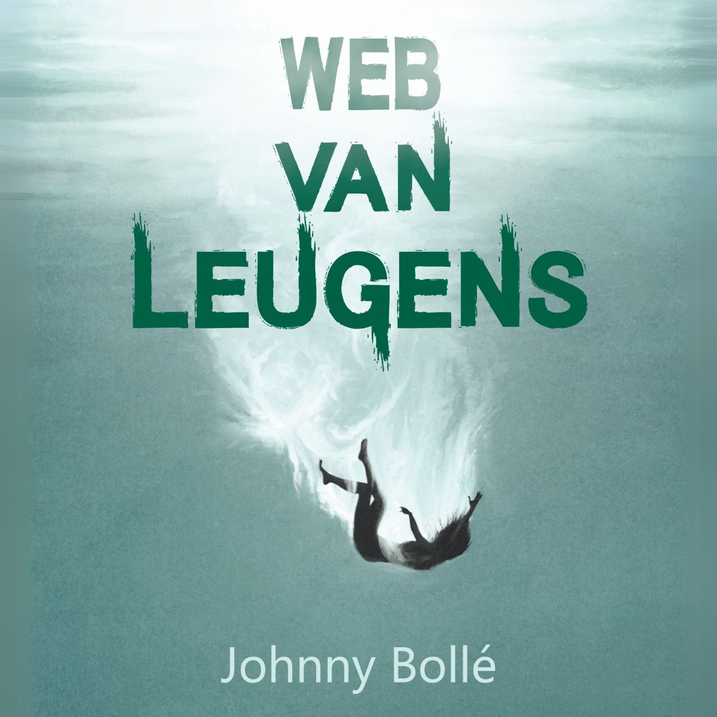 Omslag van Web van leugens