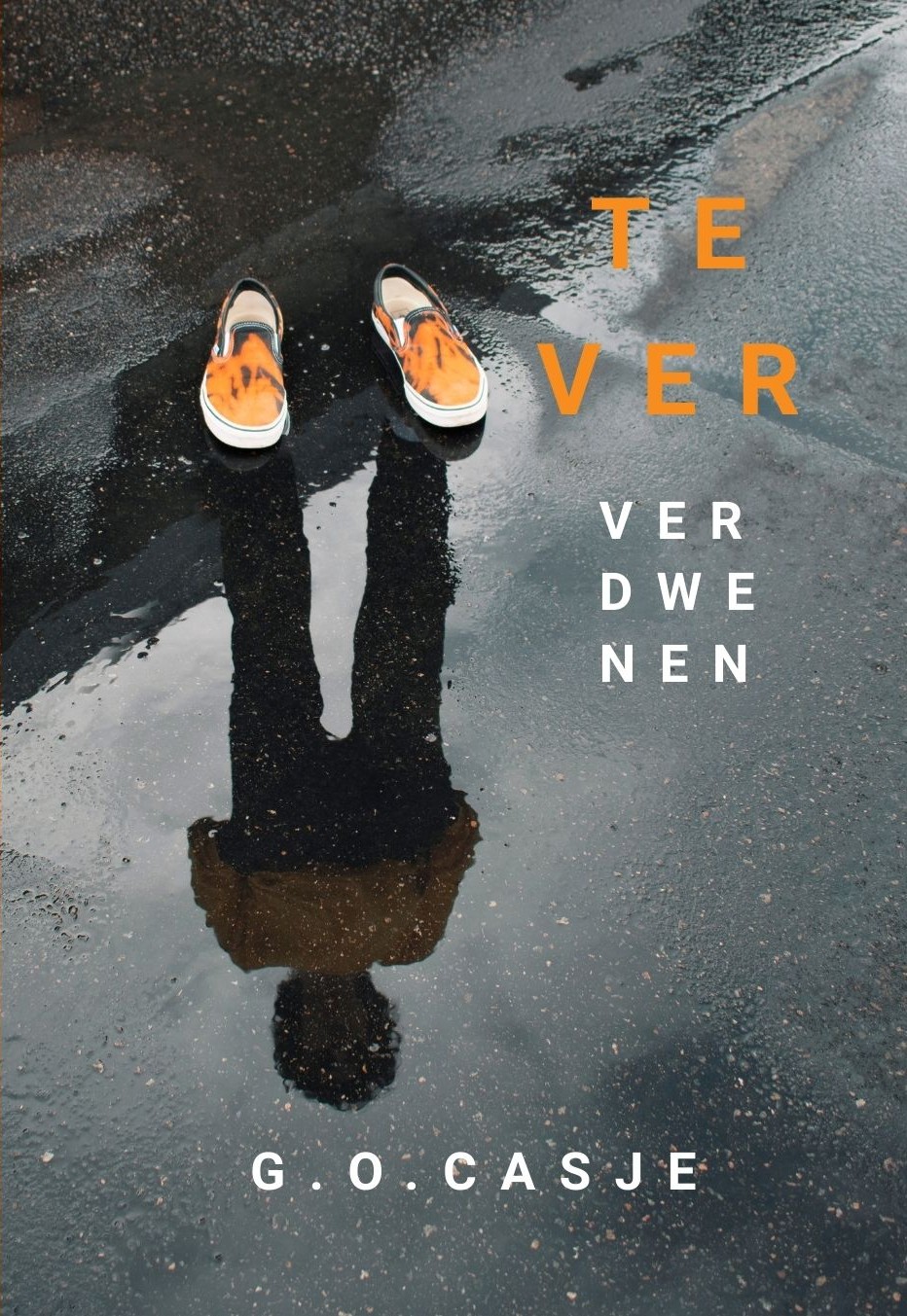Omslag van Te Ver