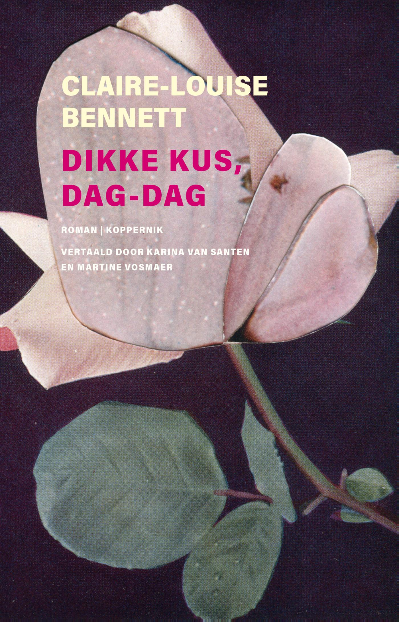 Omslag van Dikke kus, dag-dag