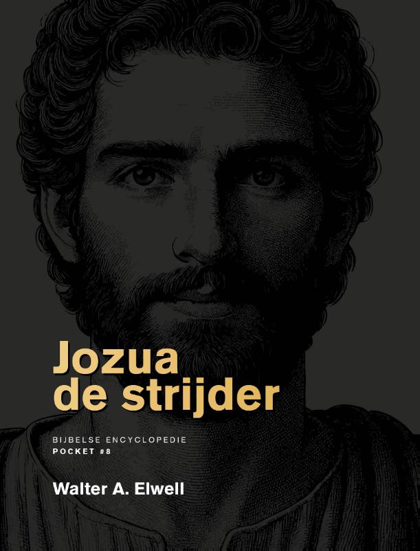 Omslag van Jozua de strijder