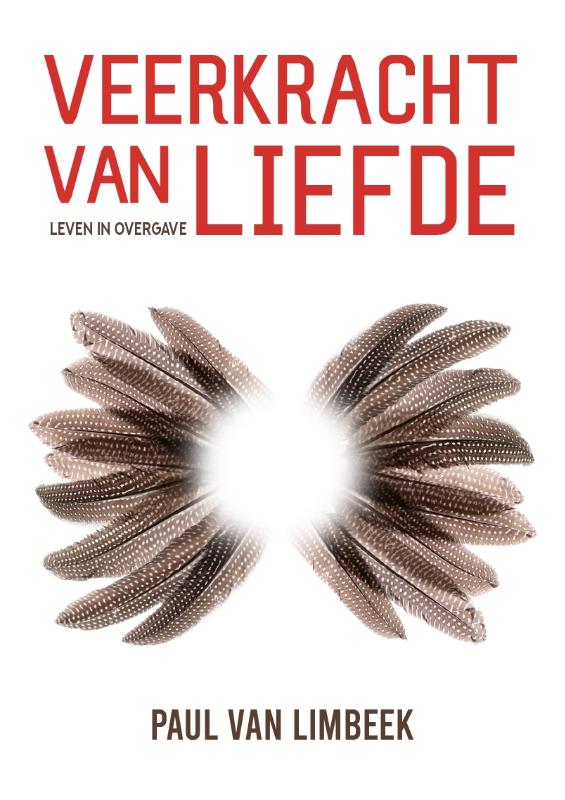 Omslag van Veerkracht van liefde
