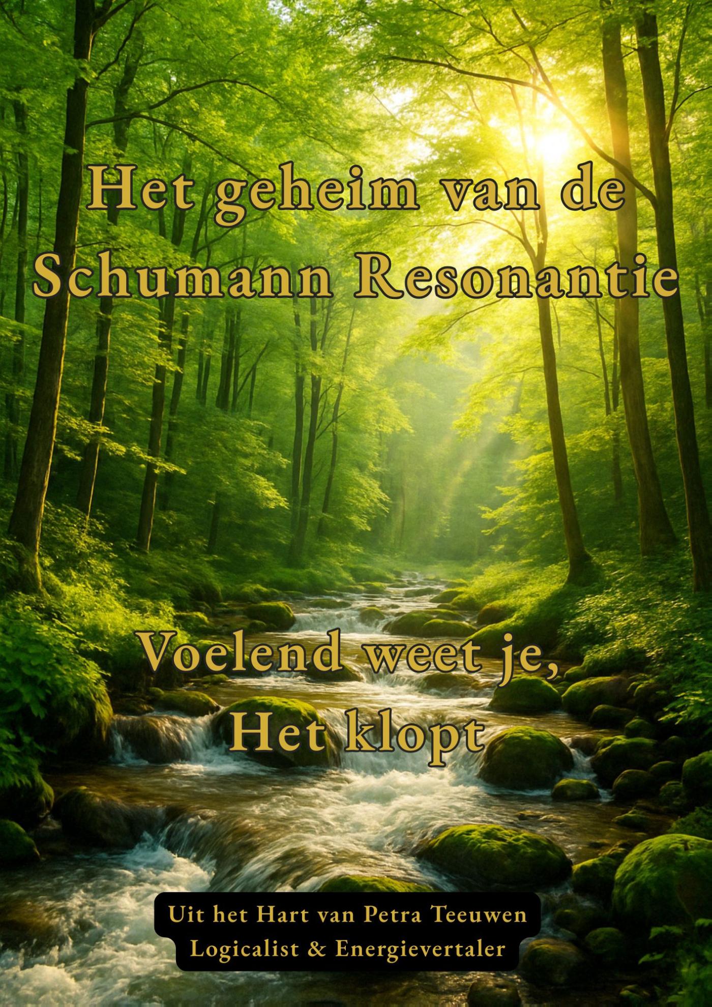 Omslag van Het geheim van de Schumann Resonantie
