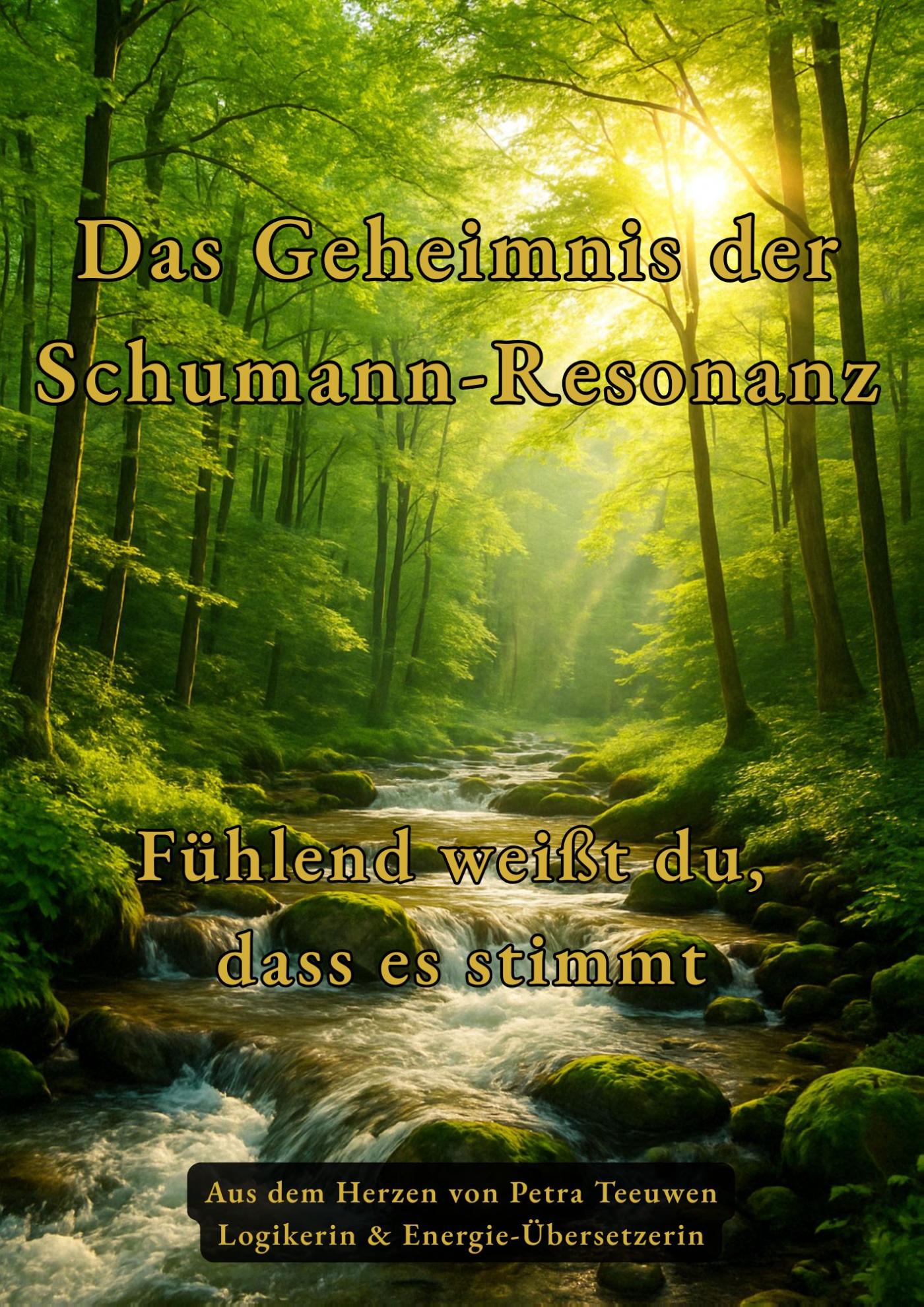 Omslag van Das Geheimnis der Schumann-Resonanz