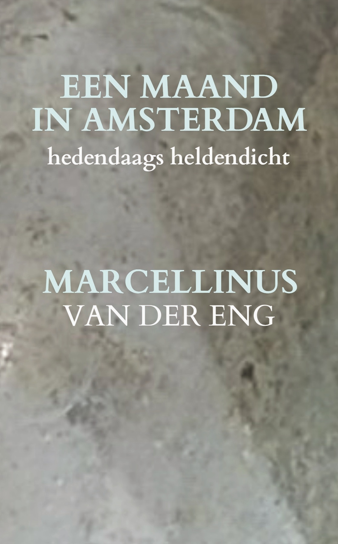 Omslag van Een maand in Amsterdam