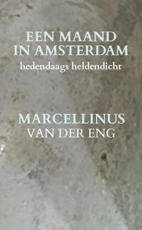 Omslag van Een Maand in Amsterdam
