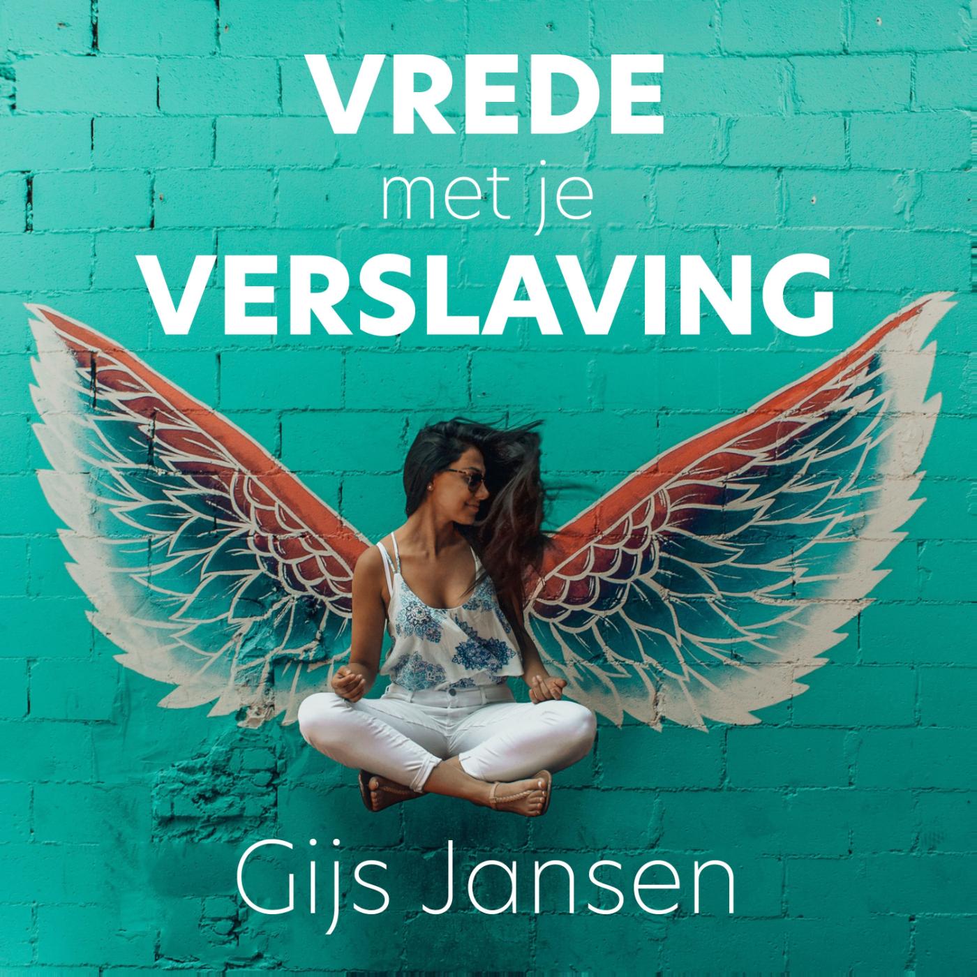 Omslag van Vrede met je verslaving
