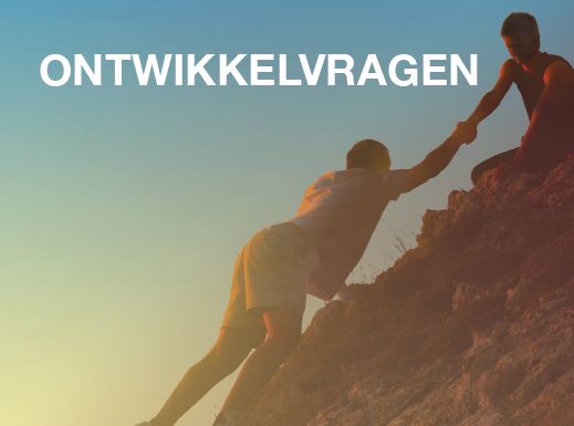Omslag van Ontwikkelvragen
