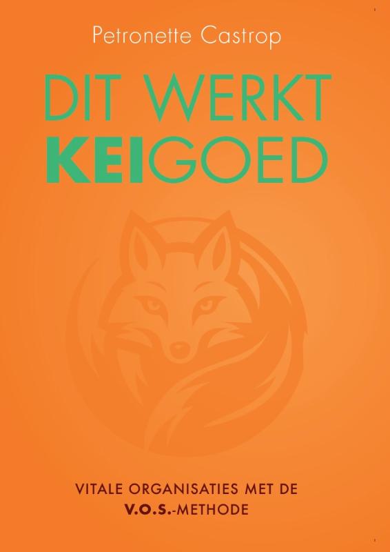 Omslag van Dit werkt keigoed