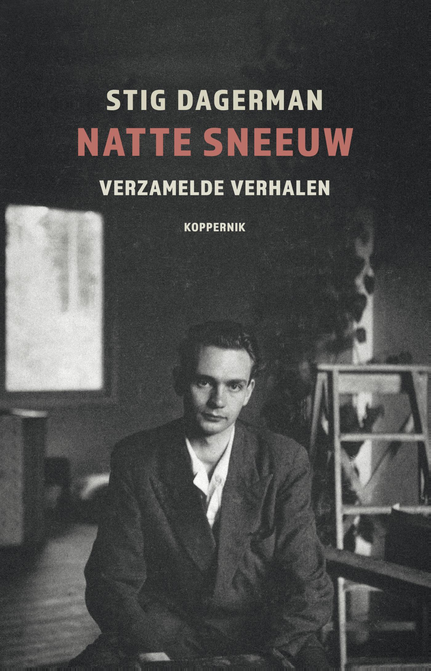 Omslag van Natte sneeuw